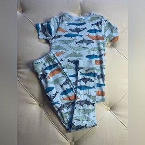 Youth Shark Pajamas size 10